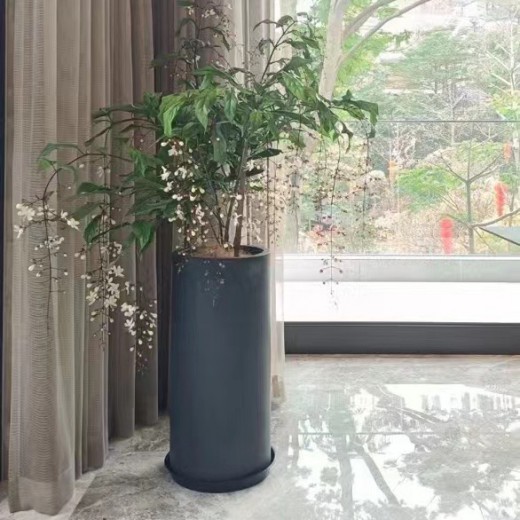 Single dark-finish RC-1006 tall cylinder planter used beside a window in a residential interior